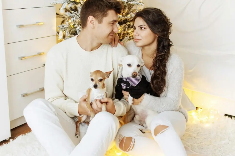 Alt: Что написать после молчания: пара спокойно смотрит друг на друга, создавая ощущение доверия и готовности продолжить разговор